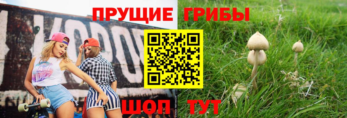 Псилоцибиновые грибы Psilocybe  Вход с VPN  Минусинск  Галлюциногенные грибы ЛСД 